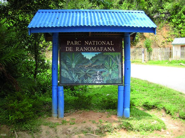 Image à la une de Parc national de Ranomafana – Un Français succombe à la suite d’un malaise