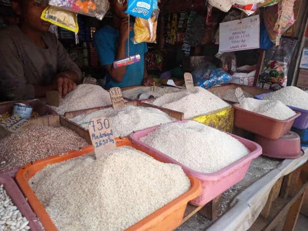 Image à la une de Commerce et consommation – Constat mitigé de l’observatoire du riz
