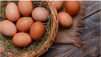 Image à la une de CONSOMMATION – Les œufs s’achètent  à 950 ariary l’unité