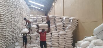 Image à la une de COMMERCE – L’importation de riz en nette baisse