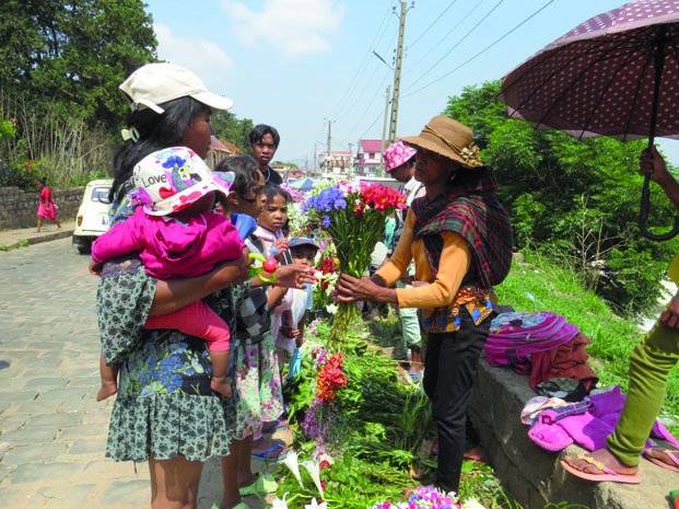 Image à la une de Fête de la Toussaint – Ruée vers les marchés aux fleurs