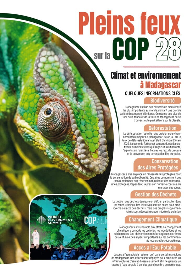 Image à la une de Pleins feux sur la COP 28 en matière d’environnement