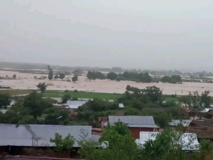 Image à la une de BEROROHA – Près de 200 ha de rizières inondés