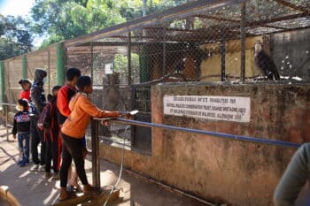 Image à la une de PARC TSIMBAZAZA – Des employés cotisent pour sauver les animaux