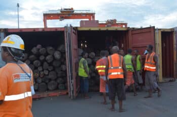 Image à la une de MADAGASCAR-TANZANIE – Négociations pour rapatrier 640 tonnes de bois de rose