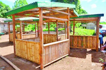 Image à la une de RÉGION DIANA – Des initiatives pour  redynamiser la filière bambou