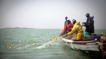 Image à la une de Sénégal : comprendre pourquoi la pêche fait des vagues en cinq questions